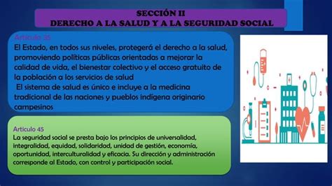 La Constitucion Política Del Estado Y Los Derechos Humanospdf