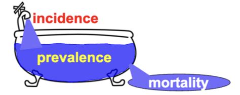 Microbiology FINAL Flashcards | Quizlet