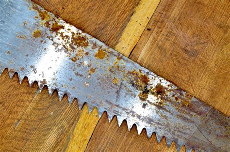 Antique Crosscut Saws Identification Value Expert Guide