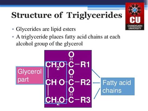 TRIGLYCERIDES