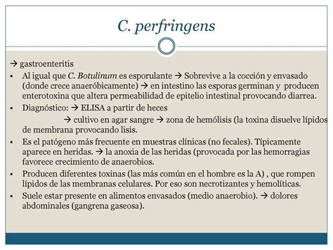 Fisiología bacteriana Bioq Denise Risnik ppt descargar