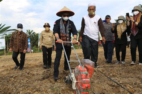 Mentan Dorong Percepatan Peremajaan Sawit Di Jambi SUARAJATIM CO ID