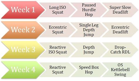 Undulating Periodization Template What Everyone Really Needs To Know