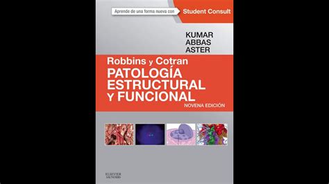 Patolog A Estructural Y Funcional Robbins Y Cotran A Edici N Pdf