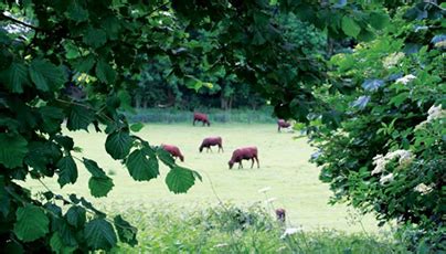 Aldenham Country Park - Farm Hertfordshire