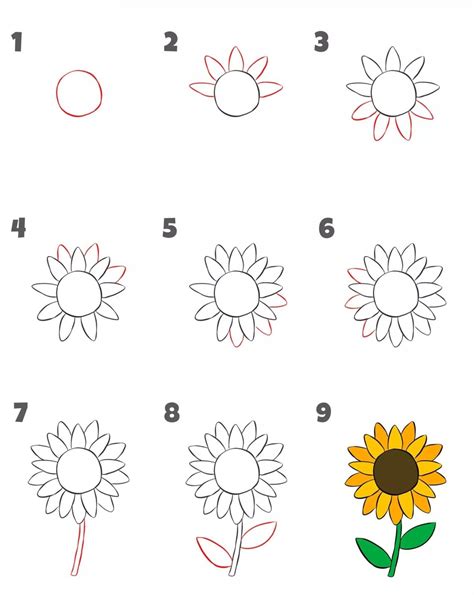 Hoe Stap Voor Stap Een Zonnebloem Tekenen Stap Voor Stap Tekenen