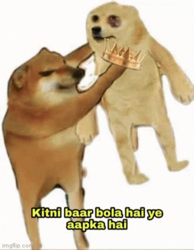 Doge King Meme - Doge King - Discover & Share GIFs