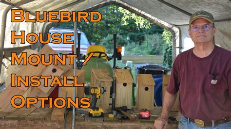 How To Mount A Bluebird House Install Methods YouTube