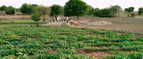 How the People of Raichur are Restoring Common Land - WELL LABS