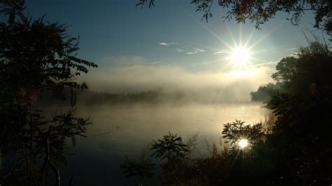 Free Images Tree Nature Branch Light Cloud Sky Sun Fog