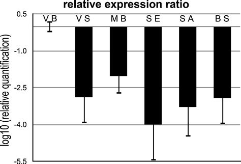 A Model For Data Analysis Of Microrna Expression In Forensic Body Fluid