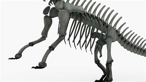 Brontosaurus Rigged Skeleton 3D model - TurboSquid 2122328