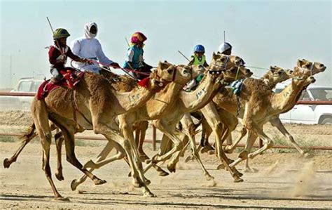 Camel Race: Dubai Camel Racing