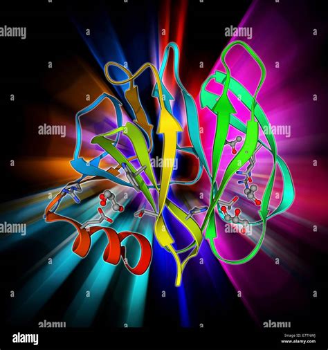 Menschliche Rotavirus Kapsid Protein Molekülmodell Stockfotografie Alamy