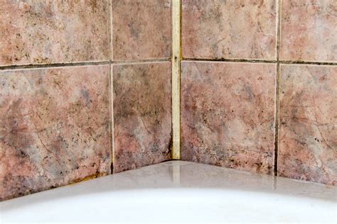 Black Mold In The Shower Heres How To Remove It Mold Help For You