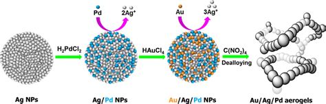 Scheme Schematic Illustration Of The Synthesis Of Ag Pd And Au Ag Pd