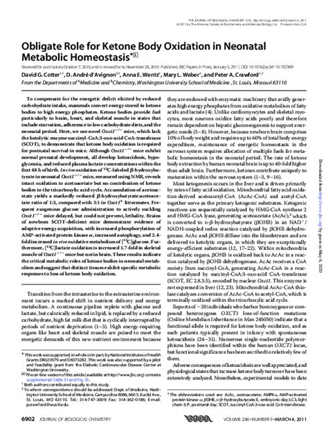 Pdf Obligate Role For Ketone Body Oxidation In Neonatal Metabolic