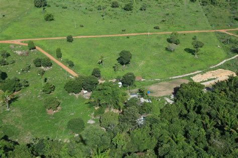 Fazenda A Venda Em Mato Grosso Fazendas Mato Grosso