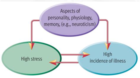 Chapter 14 Stress Coping And Health Flashcards Quizlet