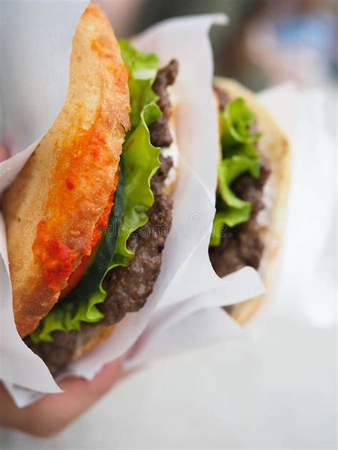 big hamburger  stock image image  fresh meal