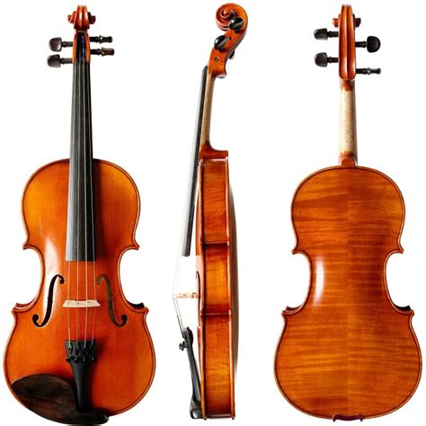 What Is A Big Violin Called Ppgbbe Intranet Biologia Ufrj Br