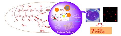 Graphical Abstract – ScienceIn Publishing