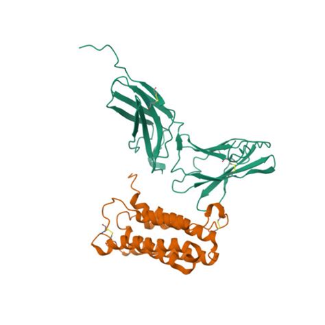 Rcsb Pdb Hym Nmr Based Docking Model Of The Complex Between The