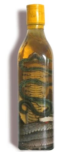 snake wine bottle snake wine cobracom