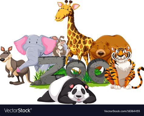 Wild animals around the zoo sign Royalty Free Vector Image