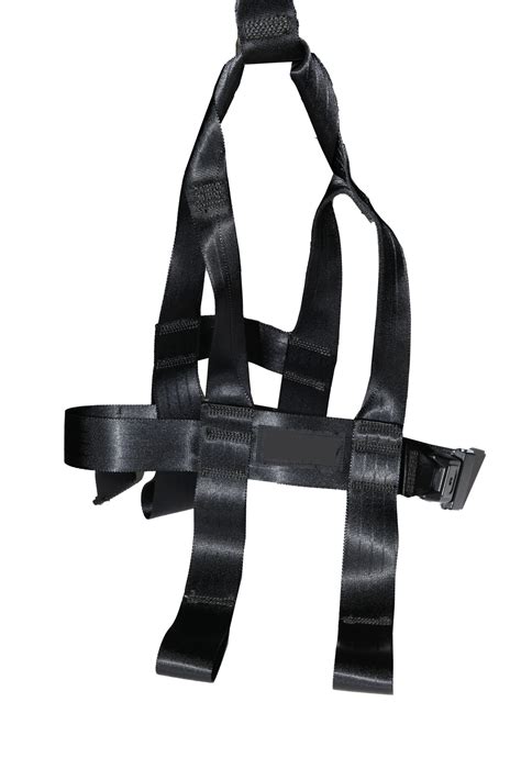 Special Needs Child Adult Harness - mySENSORY