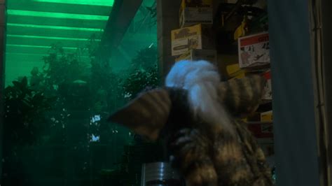 Water... Gun - Gremlins | Clip.Cafe