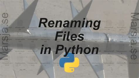 Rename Files In Python A Guide With Examples Using Os Rename