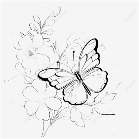 Diseño De Contorno De Mariposas Y Flores PNG dibujos Mariposa