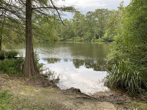 Bogue Chitto State Park Reviews updated 2020