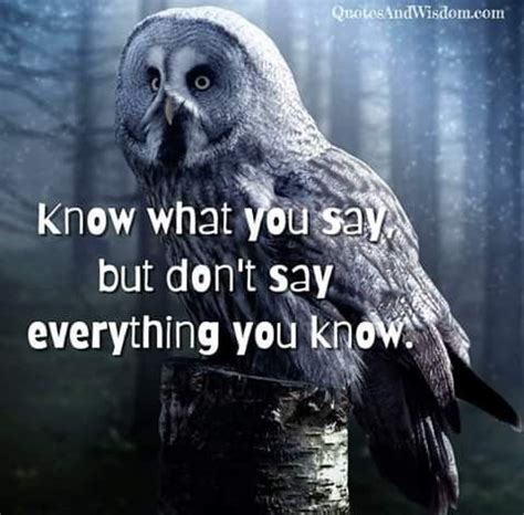 Pin By Stephanie Roy On Spiritual Wisdom Owl Quotes Happy Girl