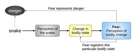 Emotion, Theories of | Internet Encyclopedia of Philosophy