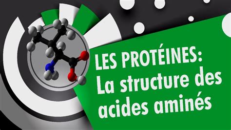 Structures des acides aminés Les proteines 1 4 YouTube