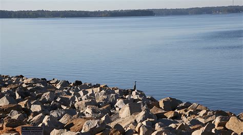 Murky Waters Controversy Confusion Swirl Around Lake Murray Dam Swim