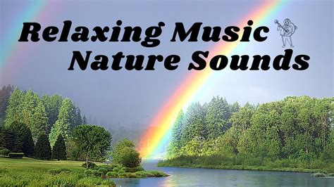 Relaxing Music - Nature Sounds - Guitar - YouTube