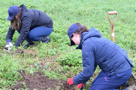 Breaking Waves: Issue 9 | Wave