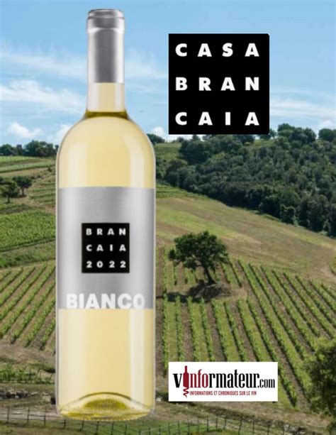 Brancaia Il Bianco Sauvignon Vinformateur