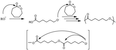 Ring opening polymerization - Alchetron, the free social encyclopedia