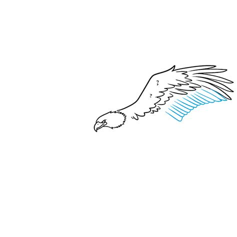 How To Draw A Bald Eagle Flying Really Easy Drawing Tutorial