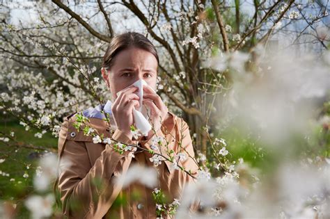 Spring Allergy Season Is Getting Worse Heres What To Know Health A