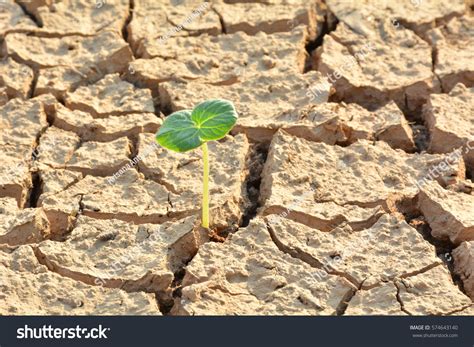 dry land images stock  vectors shutterstock