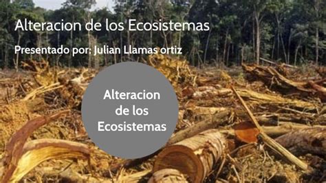 Alteracion De Los Ecosistemas By Julian Llamas Ortiz On Prezi