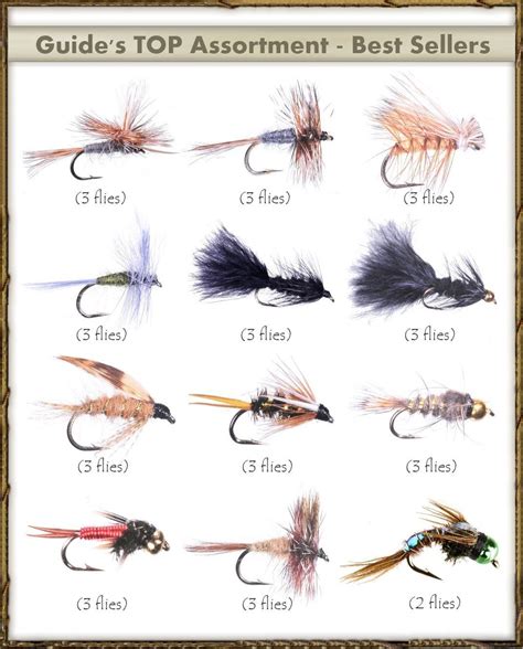 Fly Fishing Flies Guide S TOP Assortment 35 Flies In 2023 Fly