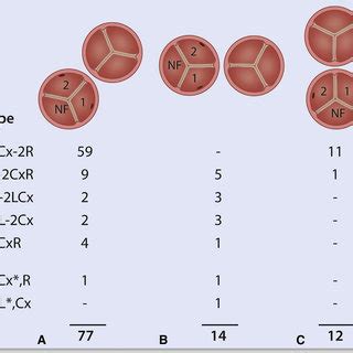 Frequency of variations in 103 cases TGA with right anterior position ...