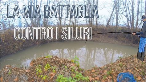 LA MIA BATTAGLIA CONTRO I SILURI YouTube