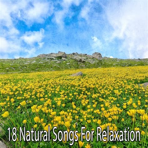 Natural Songs For Relaxation Album By Hipnose Natureza Sons